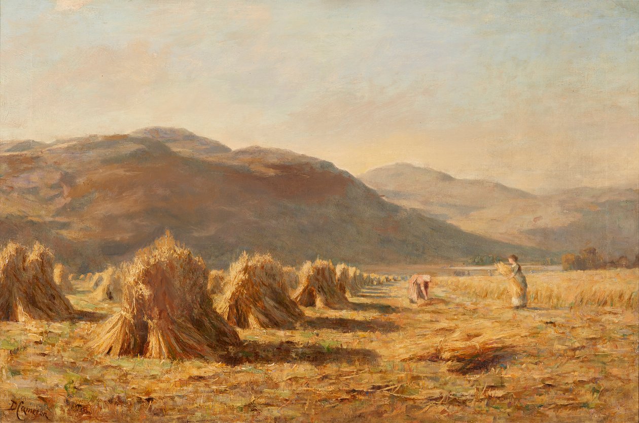 Skörd nära Dumyat, Ochil Hills (olja på duk) av Duncan Cameron