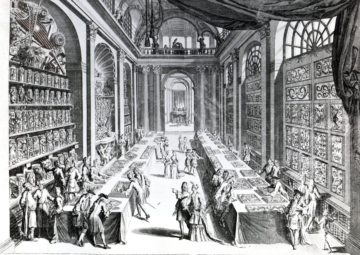 Illustration från 