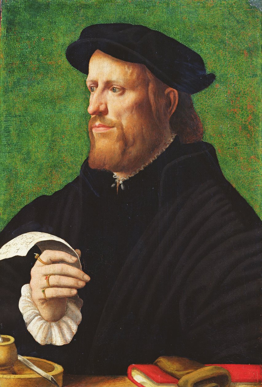 Porträtt av en man, 1575 (olja på trä) av Dutch School
