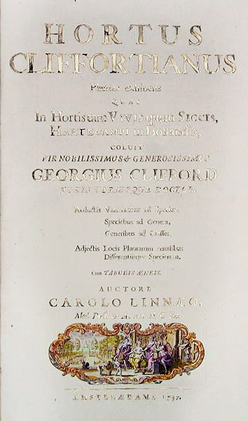 Titelsidan för Hortus Cliffortianus av Carl Linnaeus (1707-78) Amsterdam, 1737 (tryck) av Dutch School