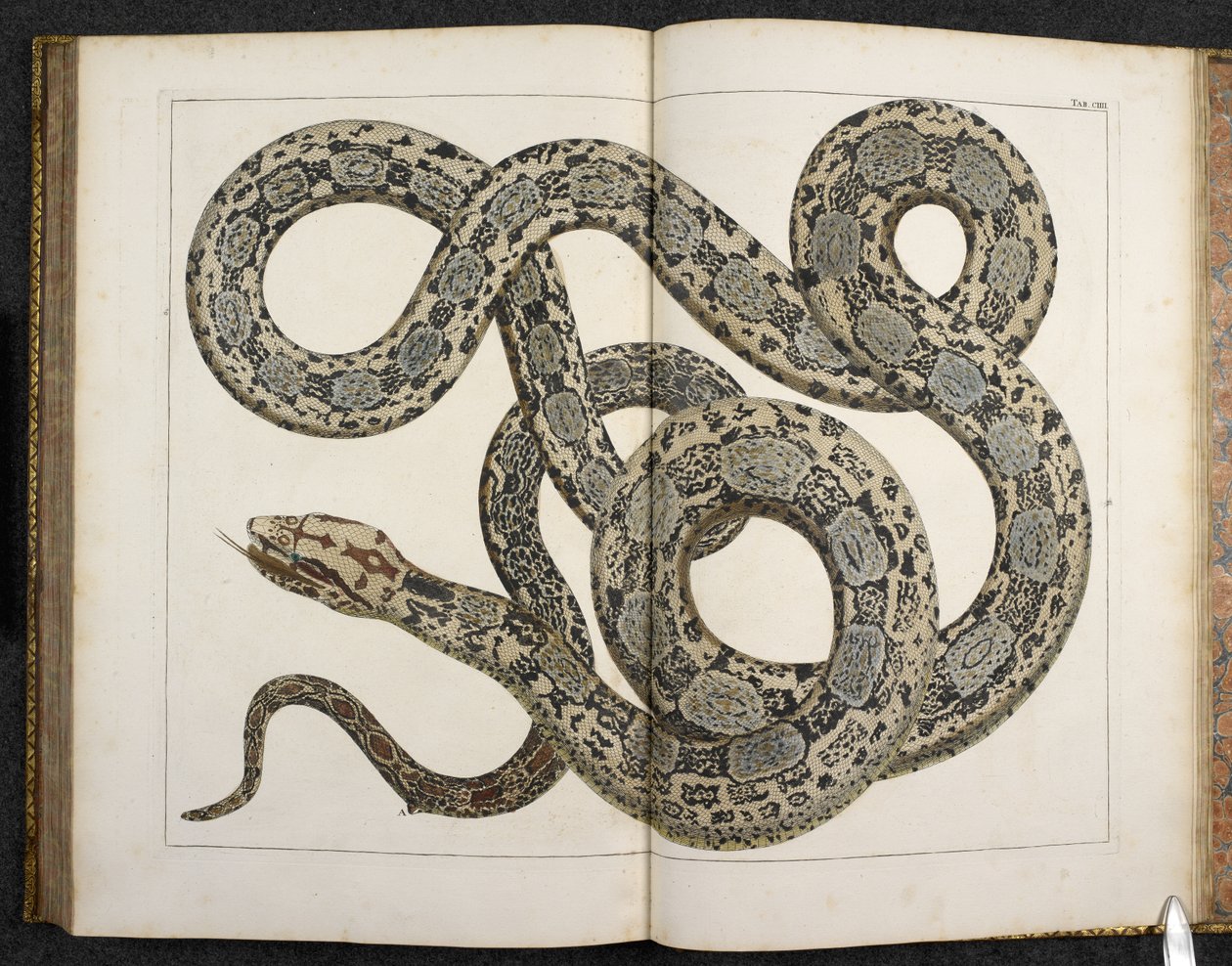 En Python, från 