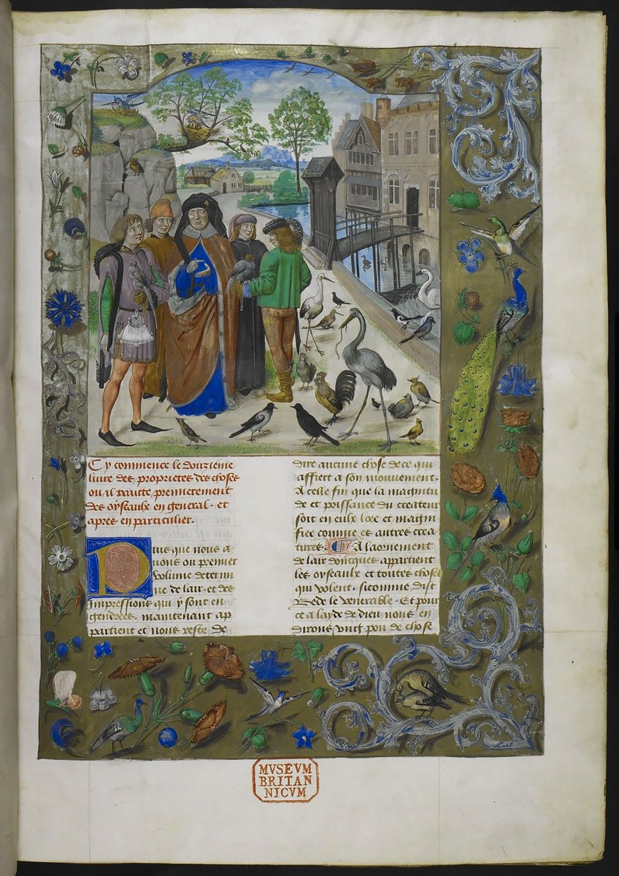 Bartholomaeus Angelicus, från De proprietatibus rerum på franska (Livre des proprietez des choses), Royal 15 E III, f. 11 av Dutch School