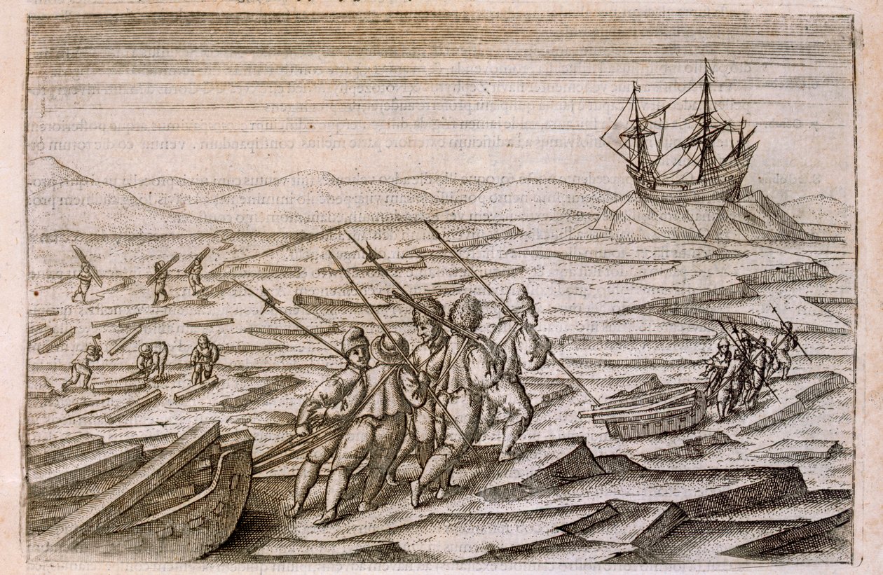 Samla drivved till stugan där expeditionen övervintrade, illustration från Diarium Nauticum, seu vera descriptio trium navigationum admirandarum... av Gerrit de Veer, 1598 av Dutch School