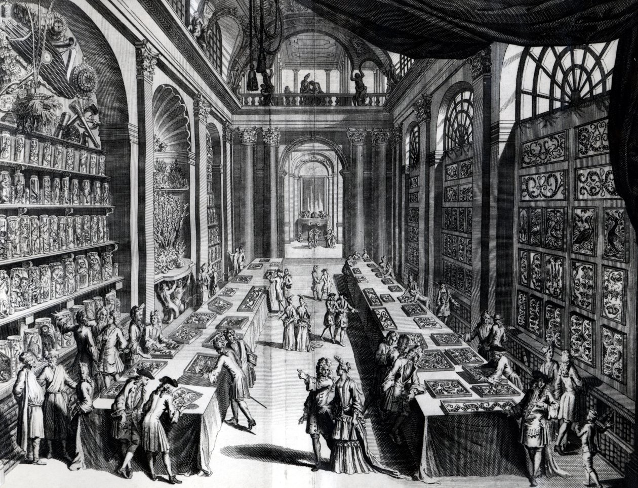 Levin Vincents samling av kuriosa, illustration från Theatre de la Merveilles de la Nature, ca 1719 av Dutch School