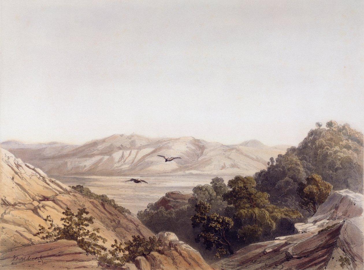Mount Carmel, Israel, graverad av L. A Sabatier av Dutch School