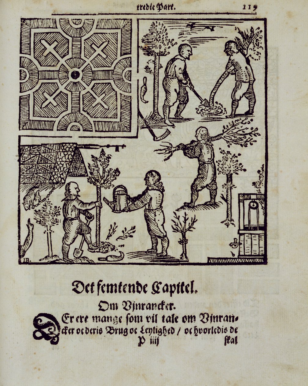 Plantera träd, från The Dutch Gardener av Johann van der Groen, publicerad 1699 av Dutch School