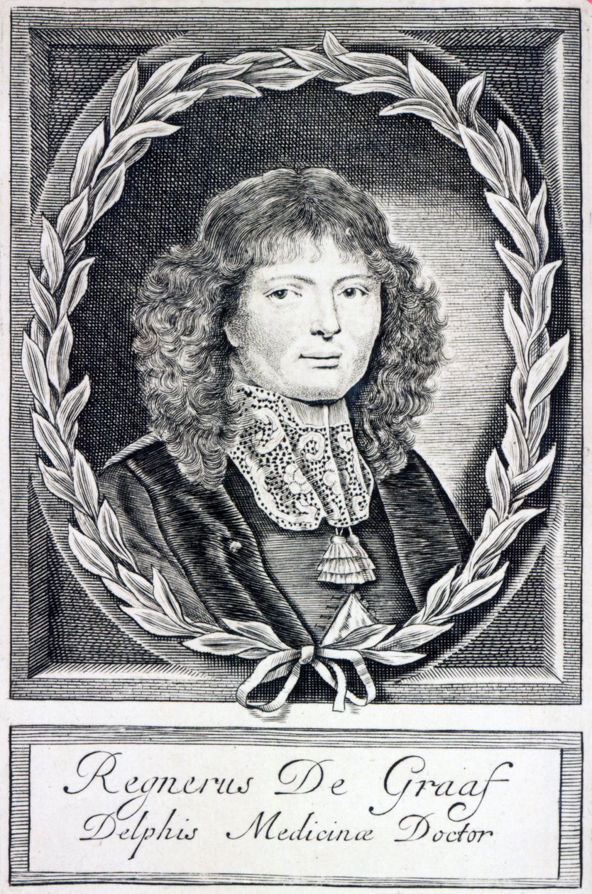 Regnier de Graaf, ca 1670 av Dutch School