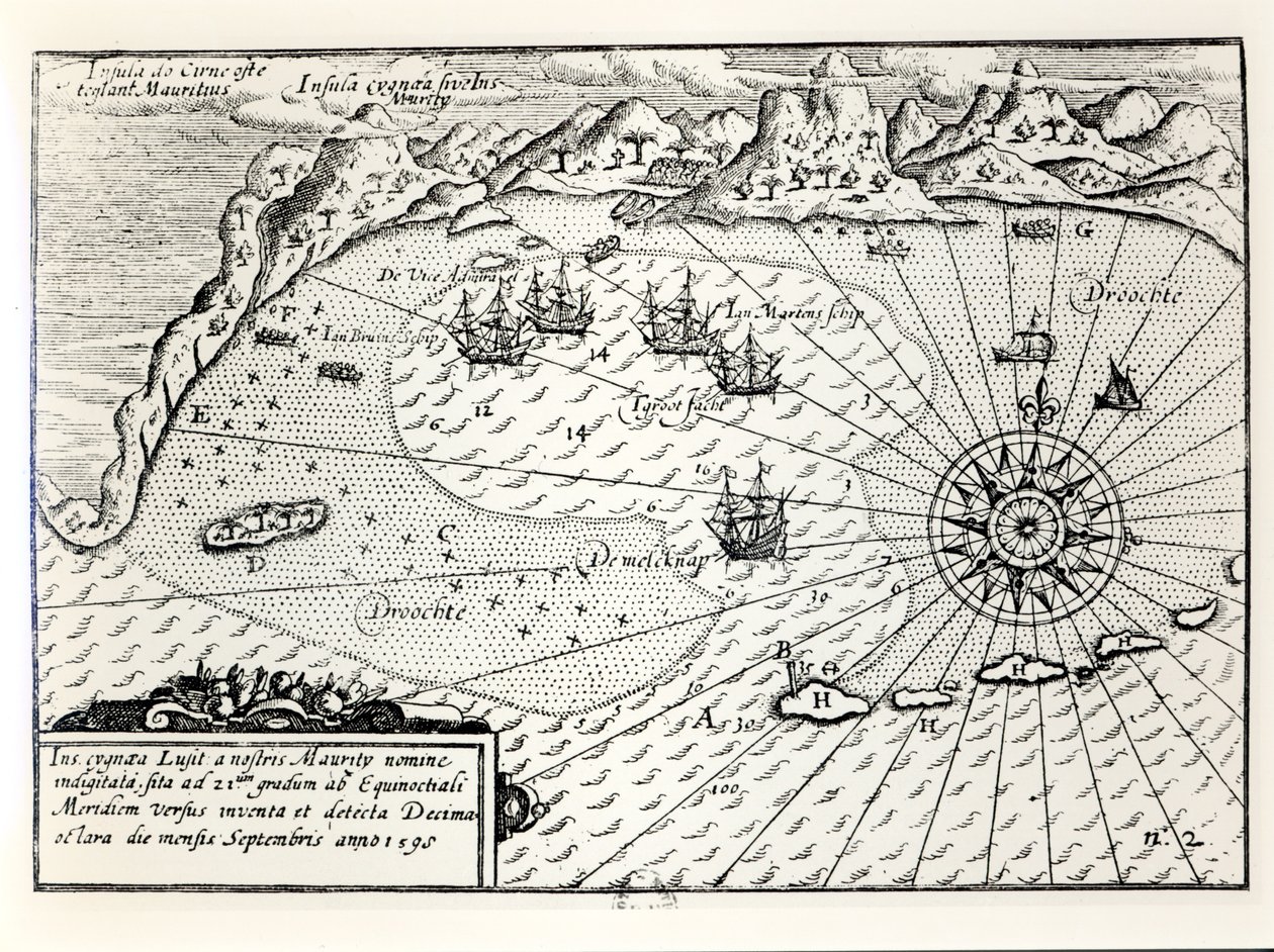 Viceamiral Wybrandt Van Warwijcksflottiljens ankomst till Mauritius sydöstra hamn i september 1598 av Dutch School