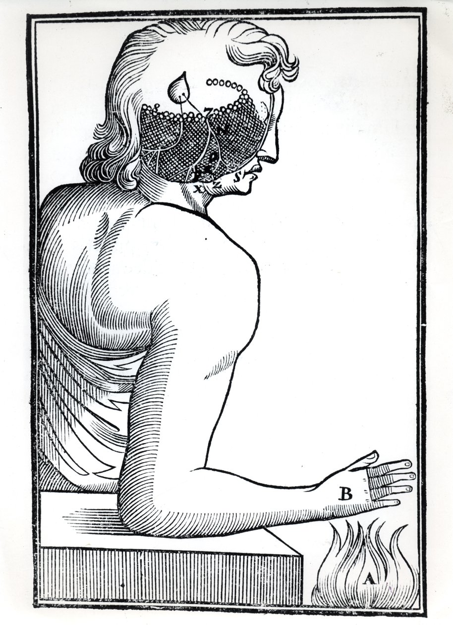 The Perception of the Senses, från De Homine Figuris av Rene Descartes (1596-1650) publicerad i Amsterdam, 1677 av Dutch School