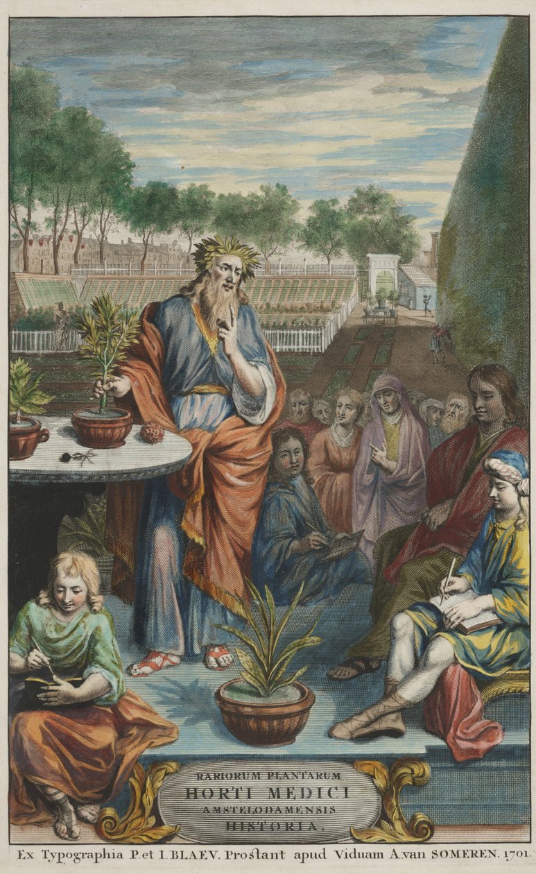 Titelsida från "Horti Medici Amstelodamensis Rariorum Plantarum Historia" vol. II, av Jan Commelin och Caspar Commelin av Dutch School