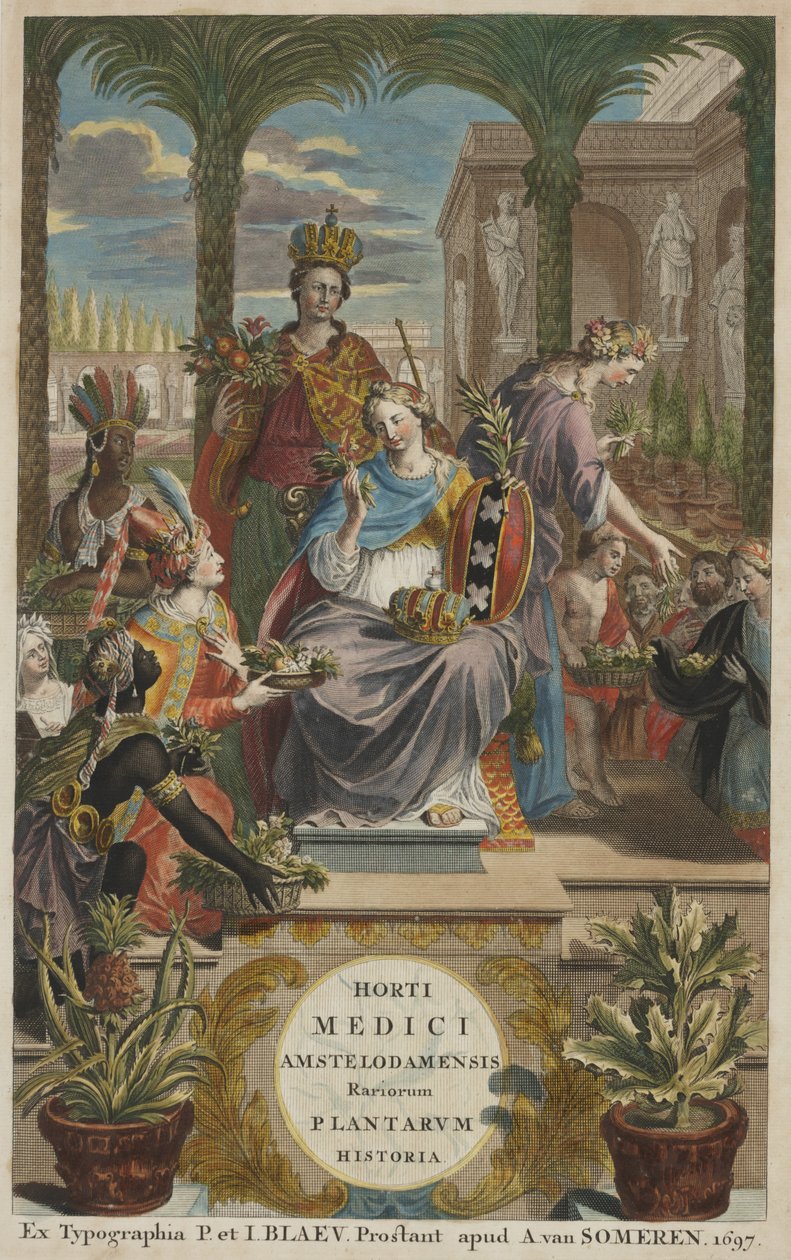 Titelsida från "Horti Medici Amstelodamensis Rariorum Plantarum Historia" vol. I, av Jan Commelin av Dutch School