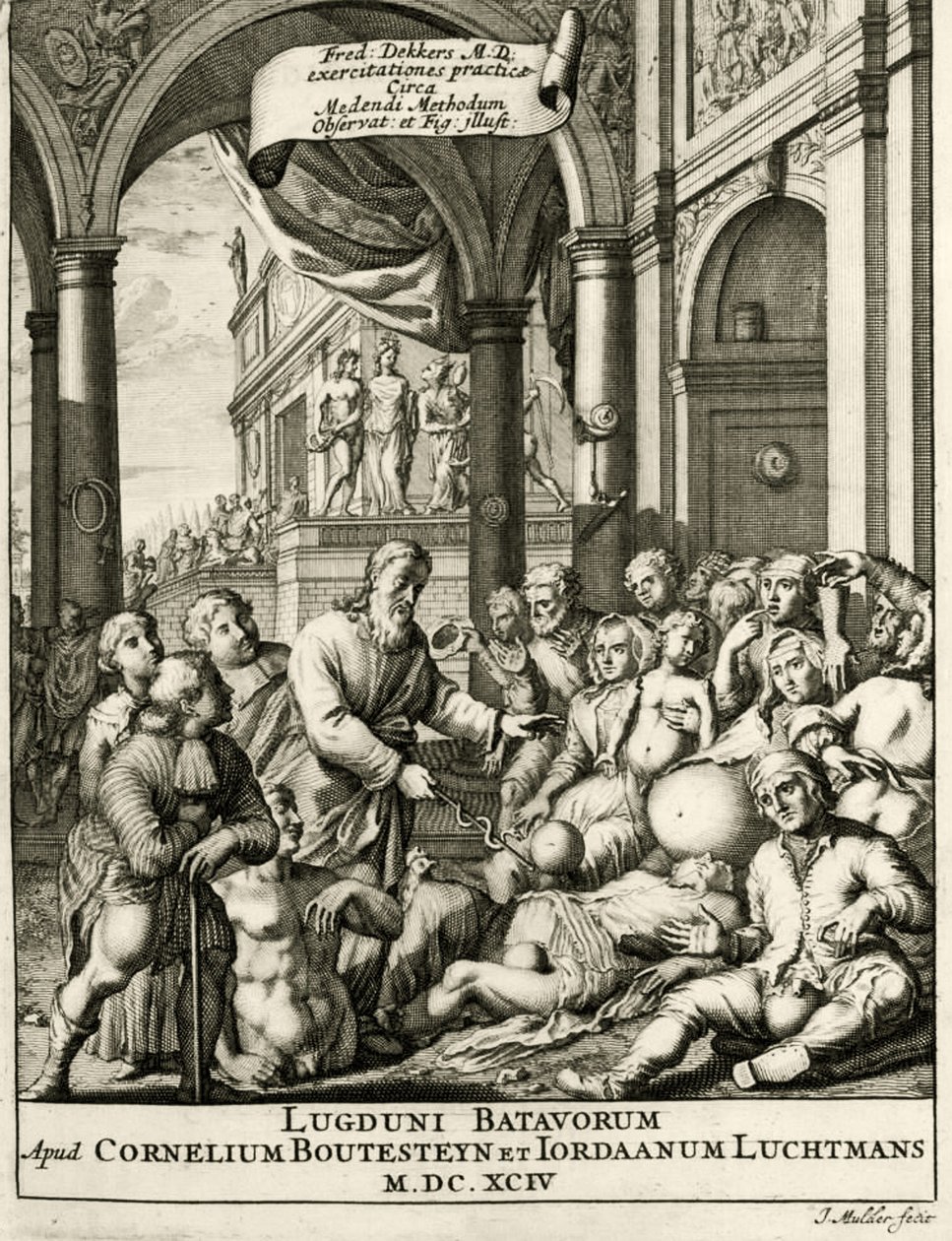 Titelsida från The Practice of Medicine av Frederik Dekkers, 1694 av Dutch School