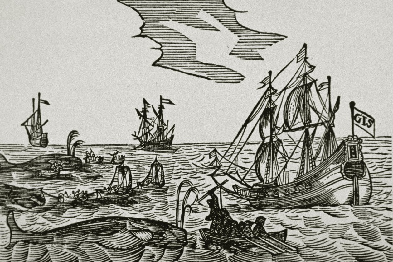 Valfångstskepp, från Jacob Segersz van der Brugges "Journael" av Dutch School