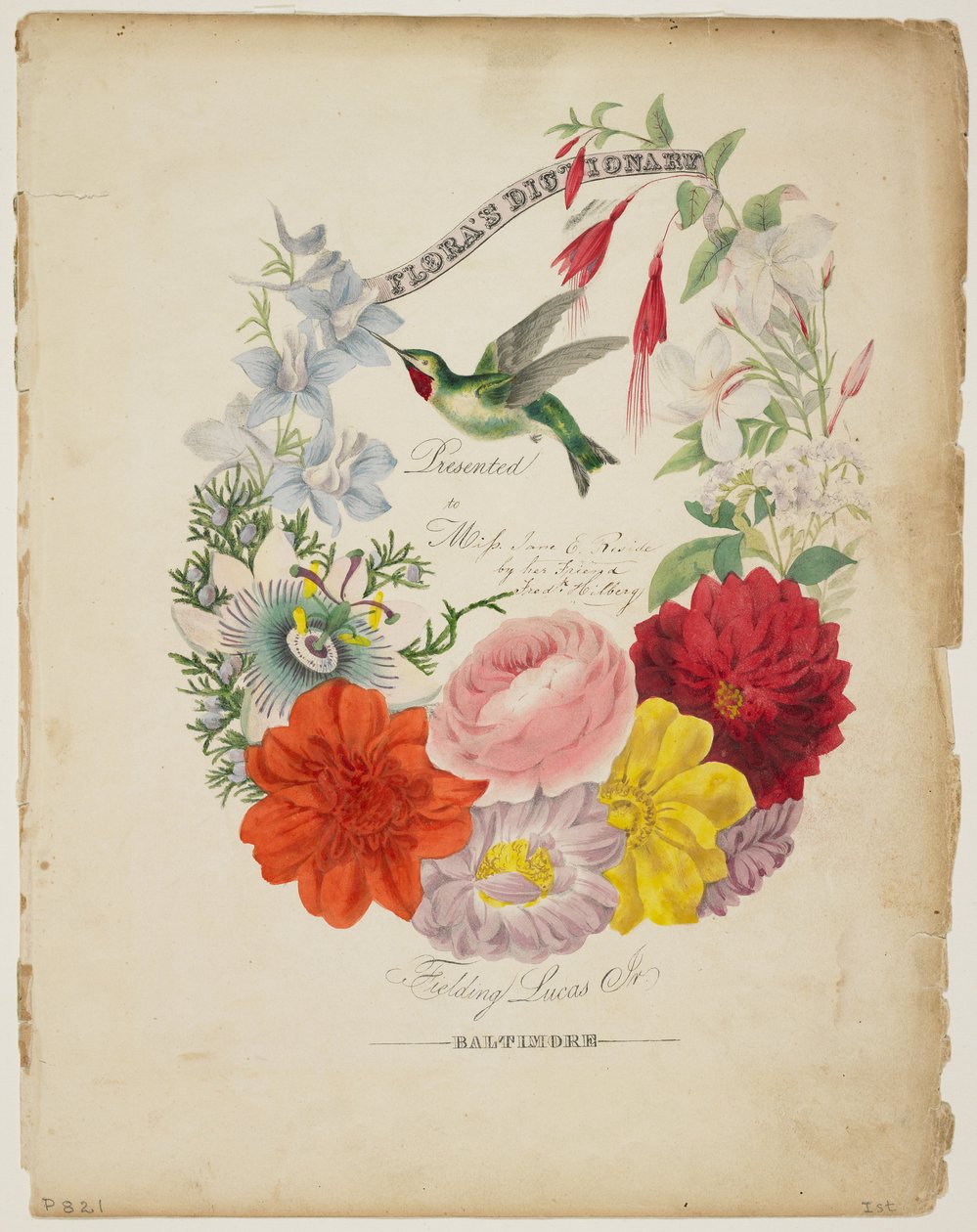 Presentationssida, blomsterkrans och hummingbird, från Floras ordbok, 1838 av E. W. Wirt