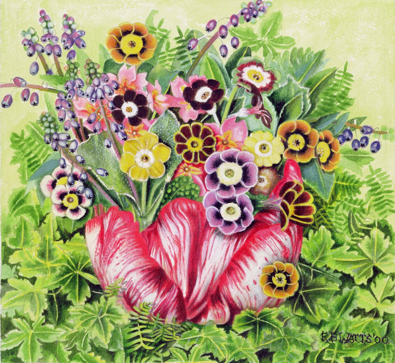 Auriculas, 2000 (akryl på duk) av E.B. Watts