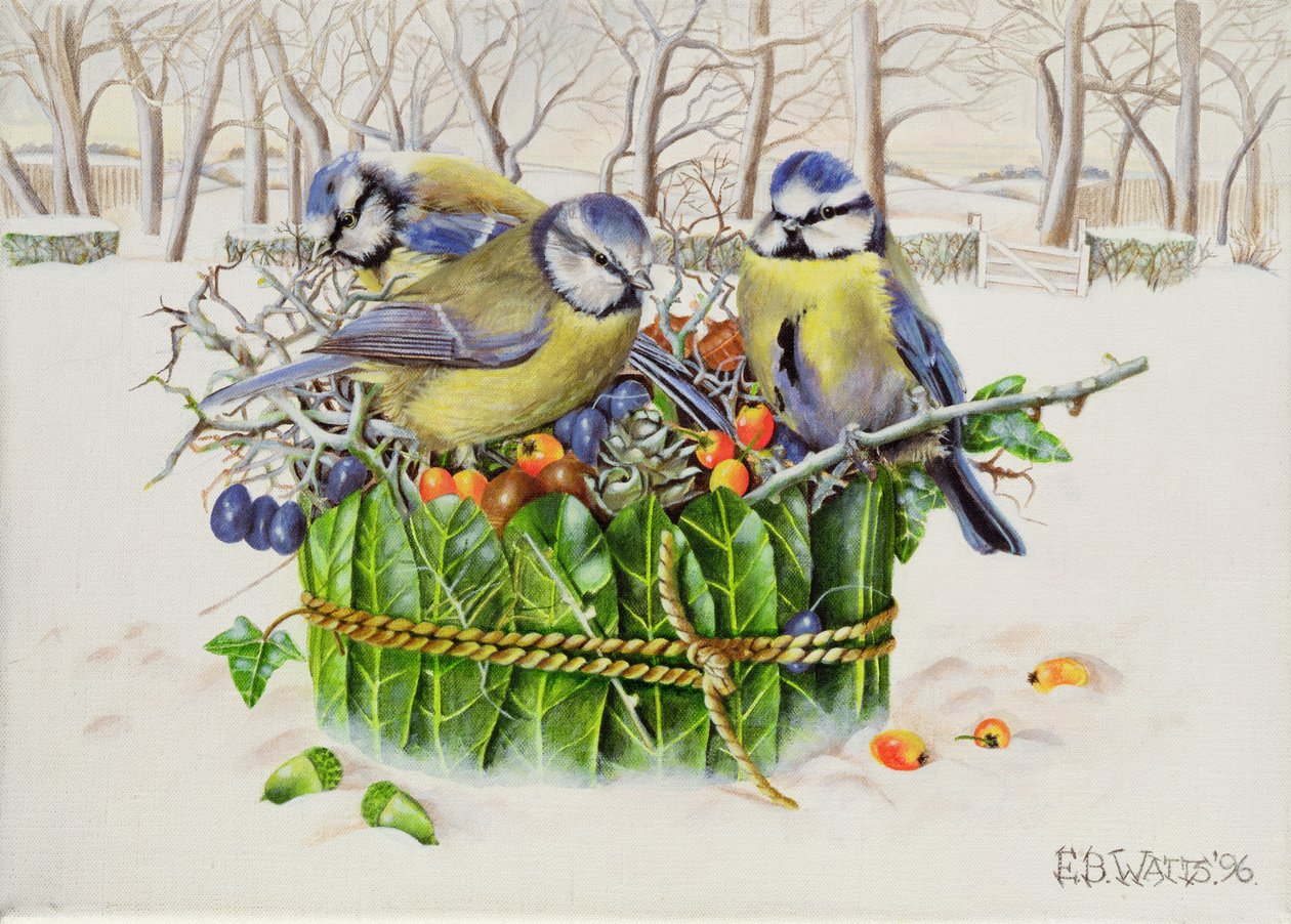 Blue Tits in Leaf Nest, 1996 (akryl på duk) av E.B. Watts