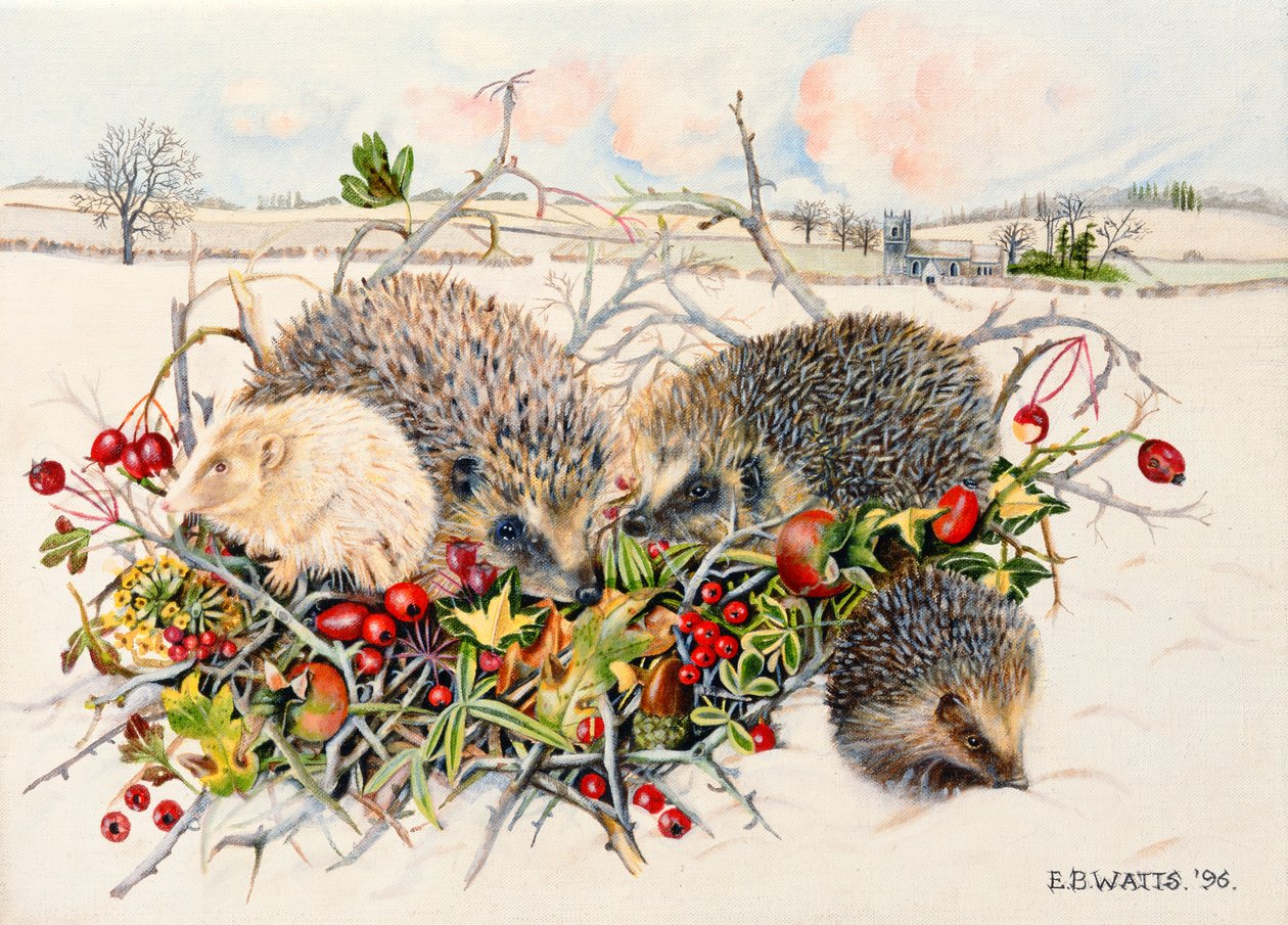 Igelkottar i Hedgerow Basket, 1996 (akryl på duk) av E.B. Watts