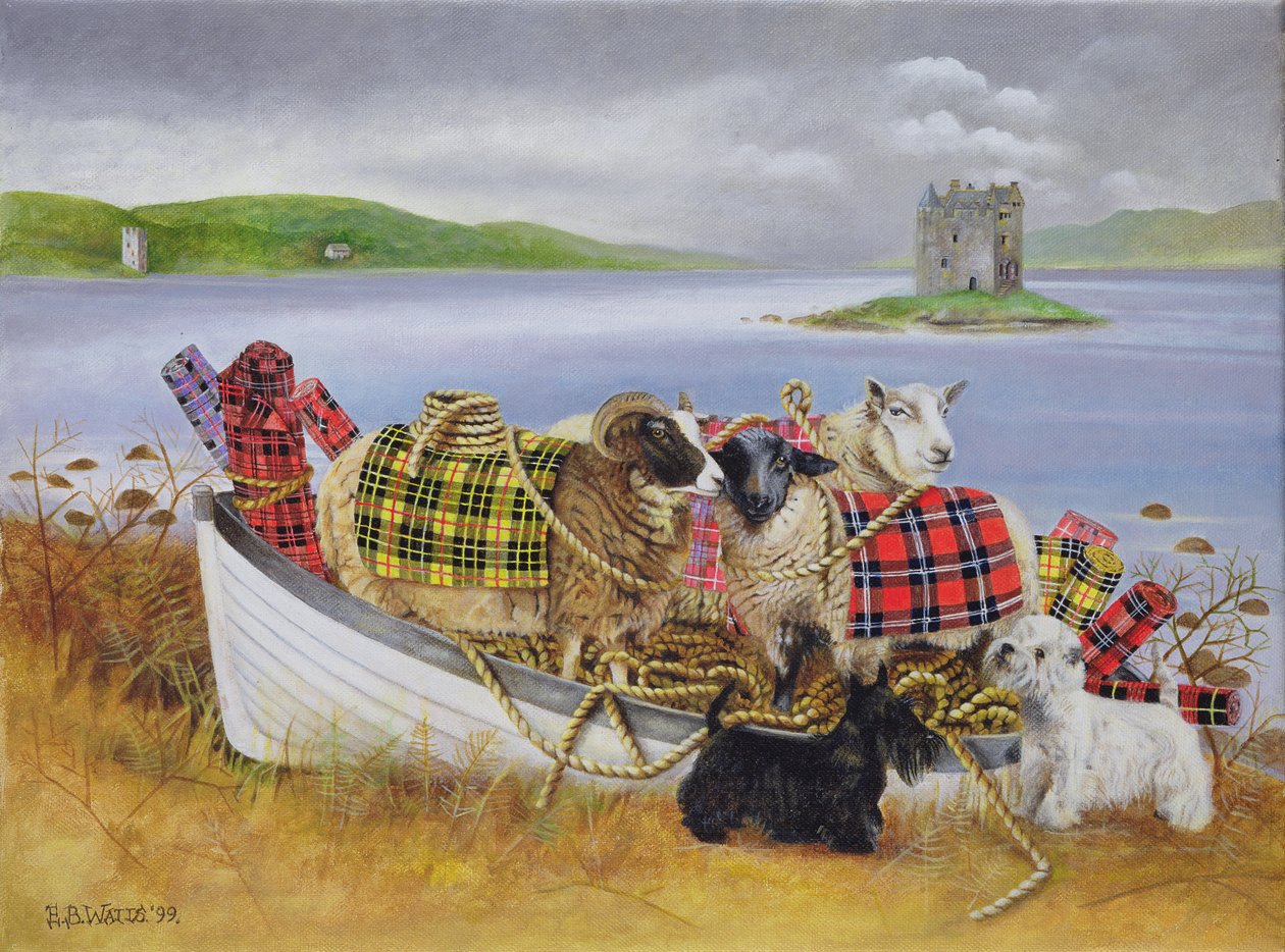 Får med Tartan, 1999 (akryl på duk) av E.B. Watts