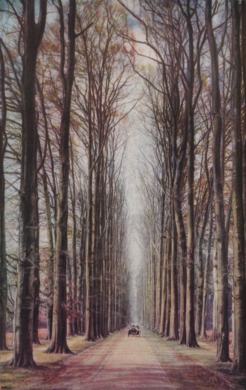 Holland, ca 1930-talet av ENA