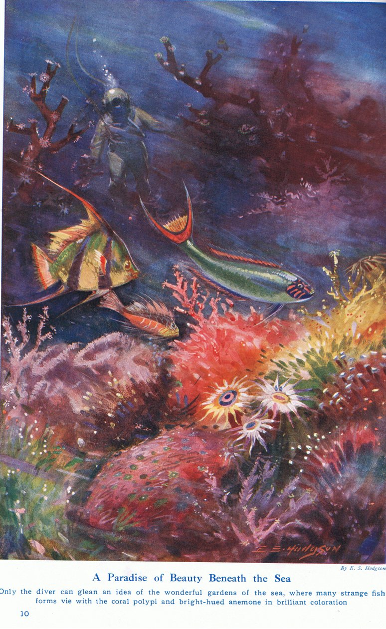 A Paradise of Beauty Beneath the Sea, illustration från "Wonders of Land and Sea", publicerad av Cassell, London, 1914 av E.S. Hodgson