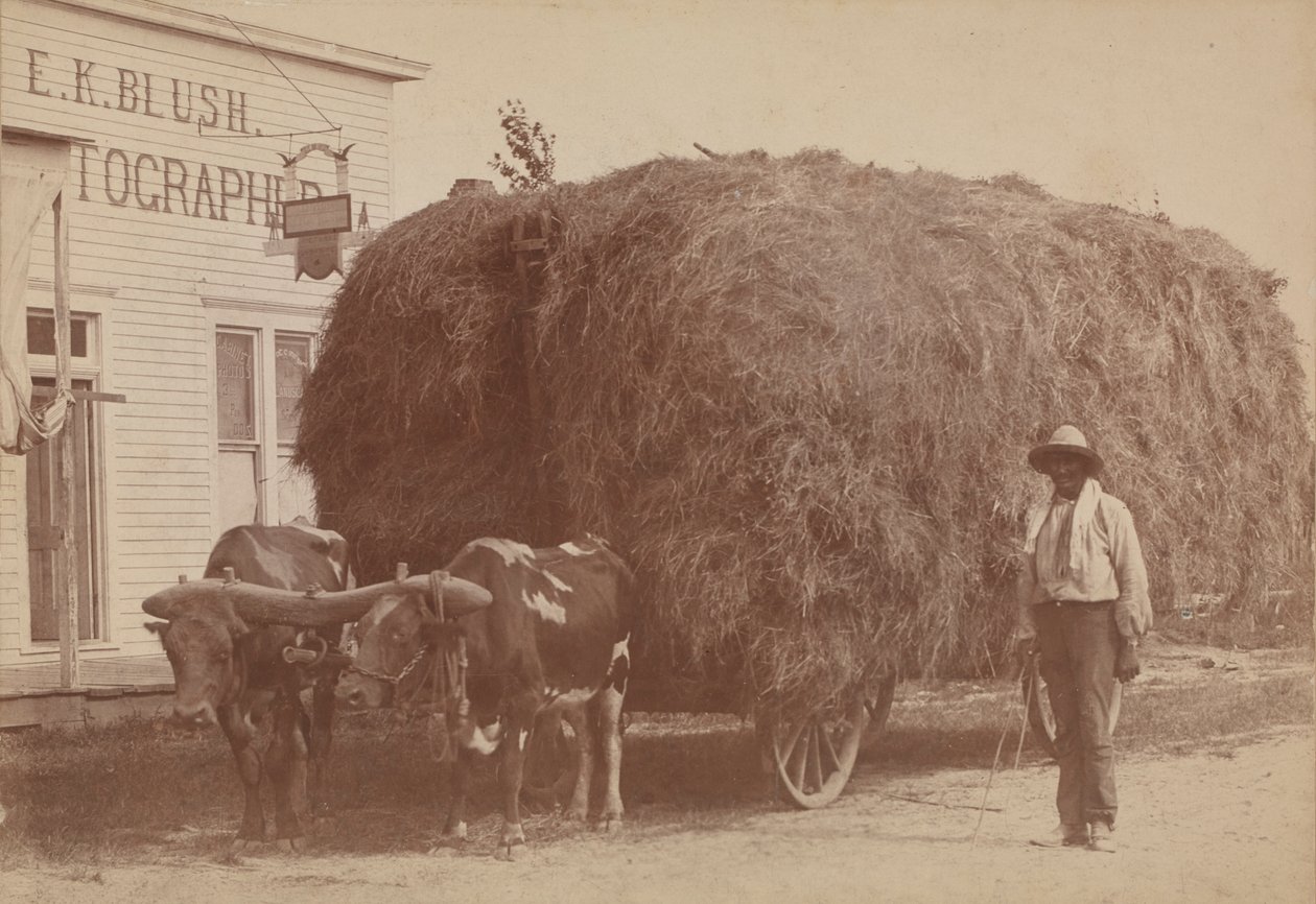 Albumintryck av en man med full hövagn, 1894-1904. av E. K. Blush
