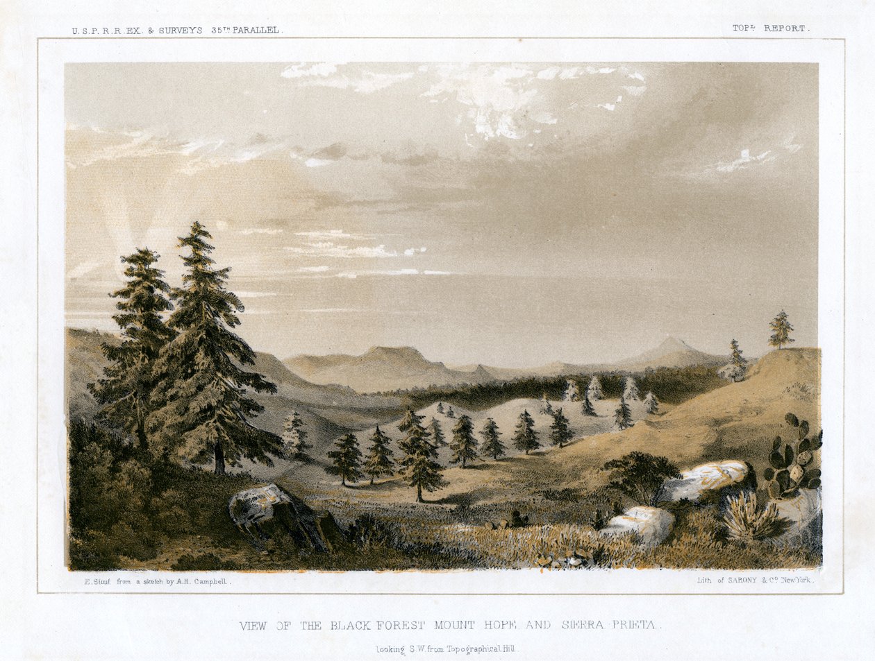 Black Forest Mount Hope och Sierra Prieta, USA, 1856. av E Stout