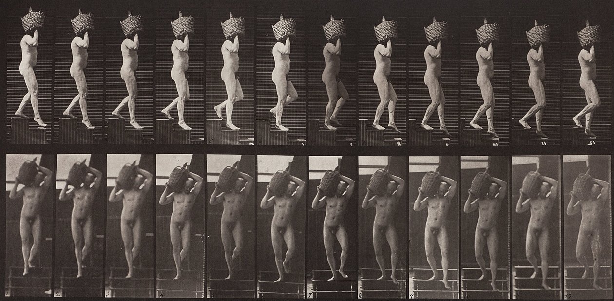 Animal Locomotion, tallrik 136 av Eadweard Muybridge