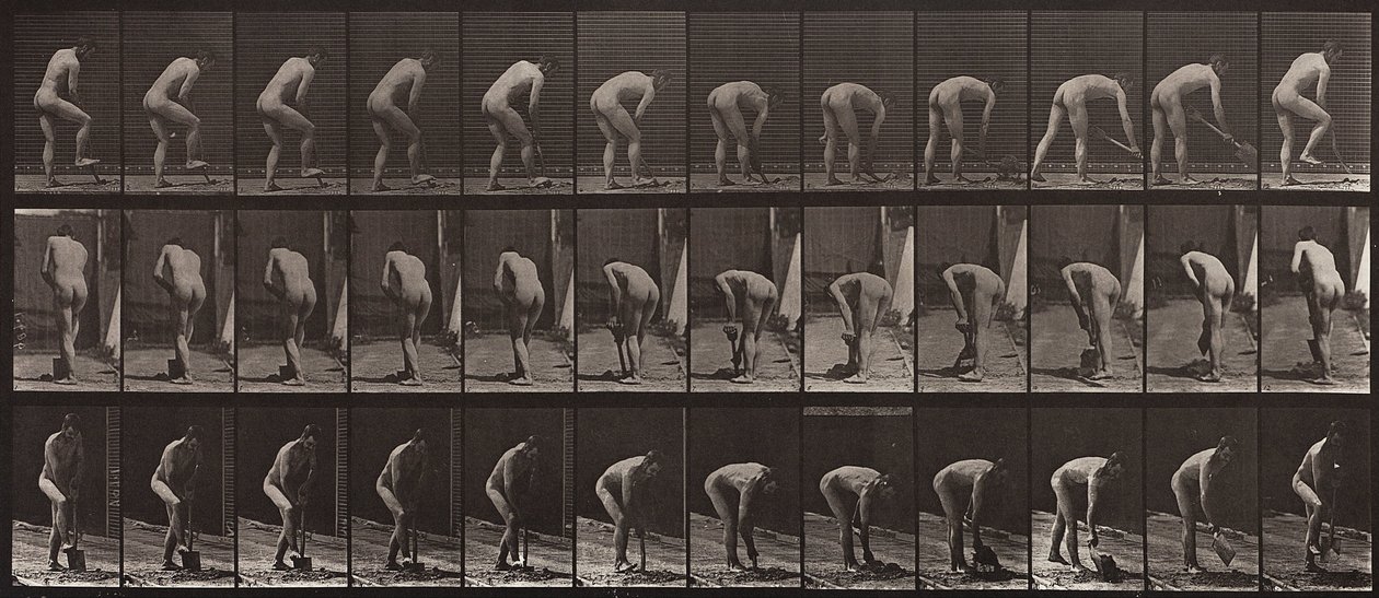 Animal Locomotion, tallrik 388 av Eadweard Muybridge