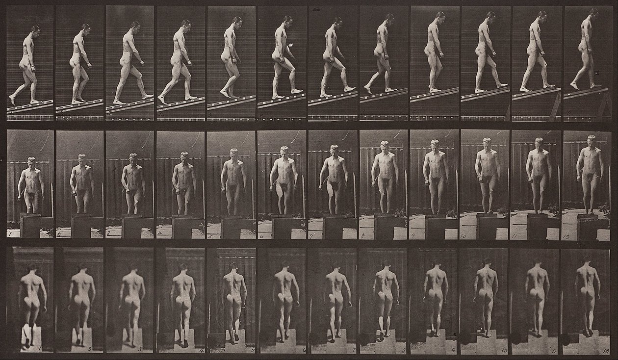 Animal Locomotion, tallrik 74 av Eadweard Muybridge
