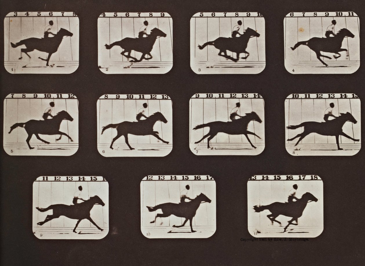 Sallie Gardner springer från attityderna hos djur i rörelse av Eadweard Muybridge