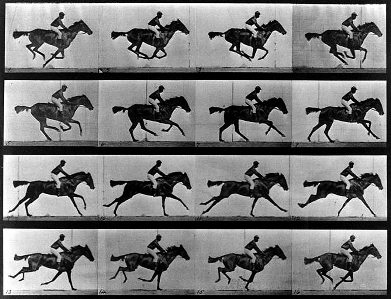 Ett sekvensfoto av Eadweard Muybridge