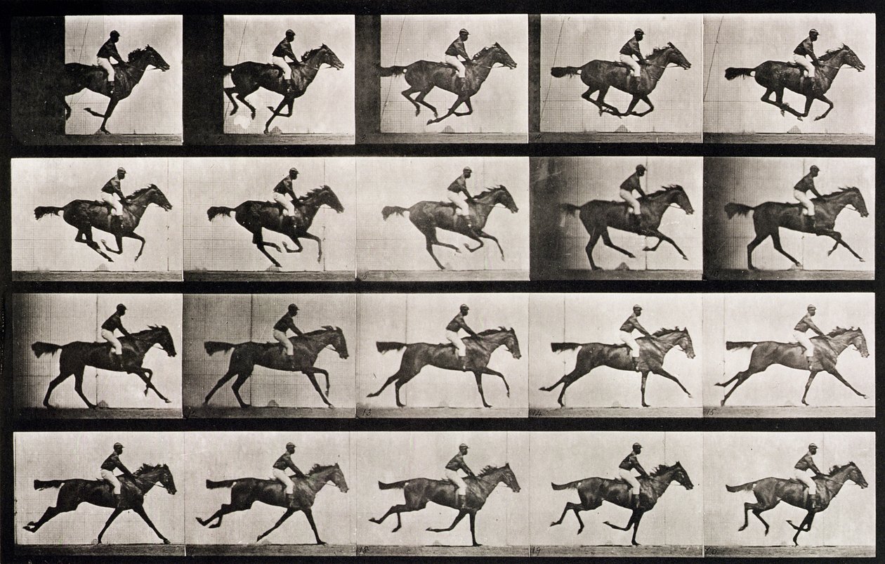 Jockey på en galopperande häst, platta 627 från "Animal Locomotion", 1887. av Eadweard Muybridge