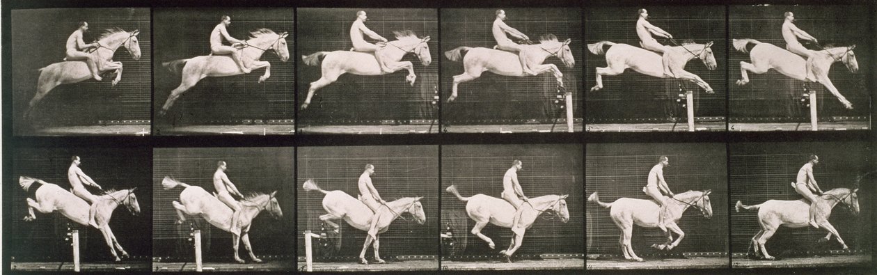 Man och häst hoppar över ett staket, platta 643 från "Animal Locomotion", 1887 av Eadweard Muybridge