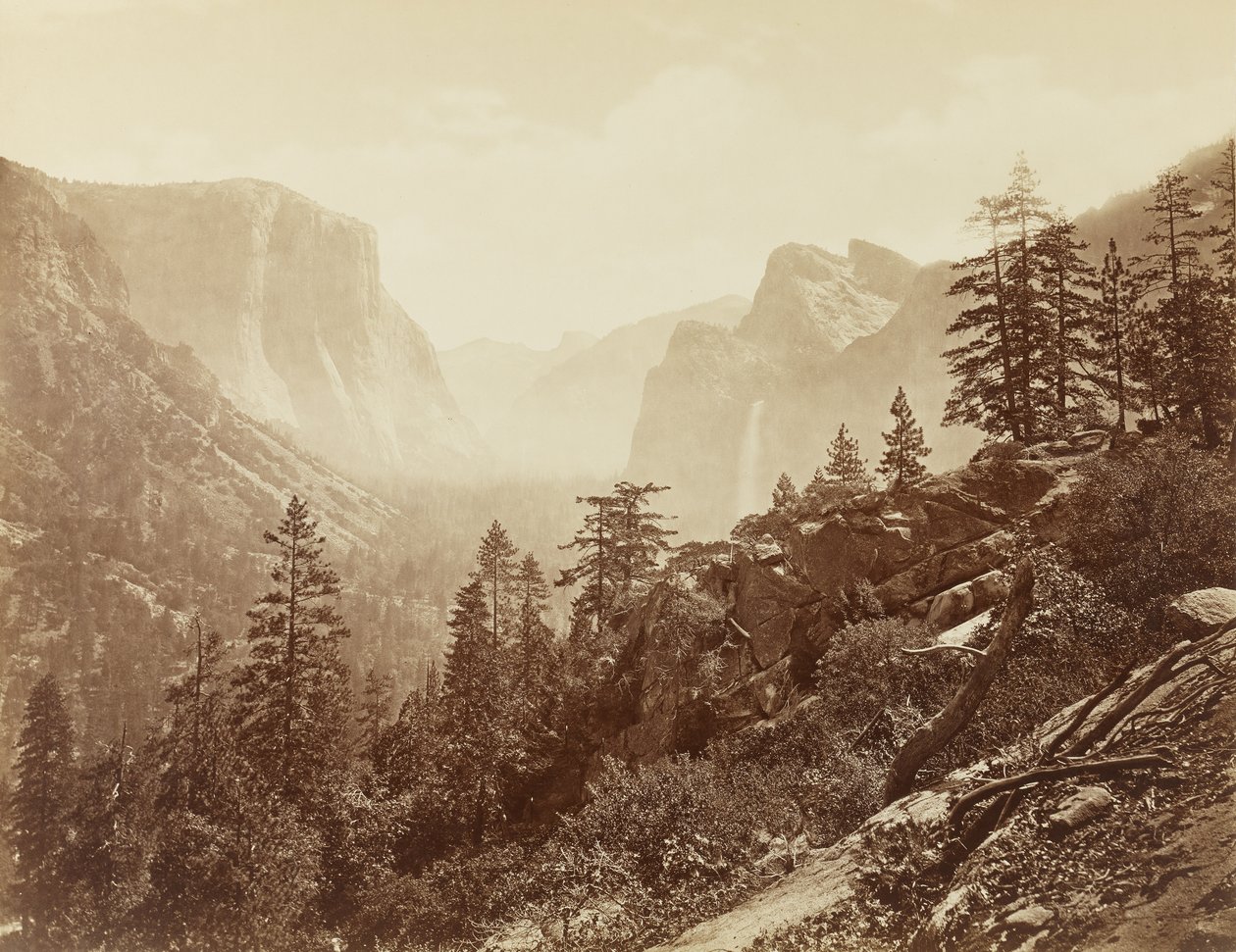 Valley of the Yosemite (tidig morgon från lätt rock), 1872 (albumintryck på mammuttallrikar) av Eadweard Muybridge