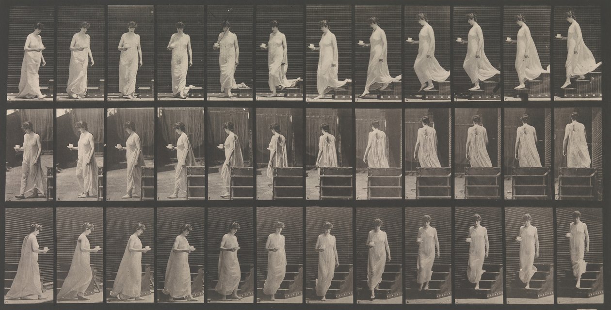 Djurrörelse. En elektrofotografisk undersökning... av djurrörelser. Börja..., 1880-talet. av Eadweard Muybridge