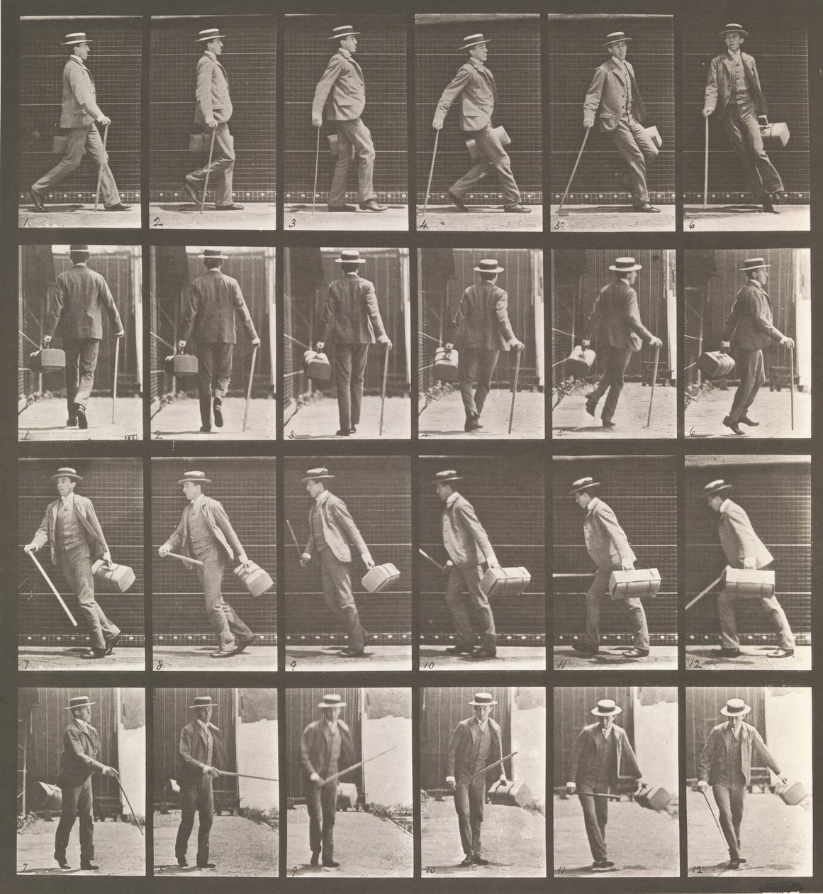 Djurrörelse. En elektrofotografisk undersökning... av djurrörelser. Börja..., 1880-talet. av Eadweard Muybridge