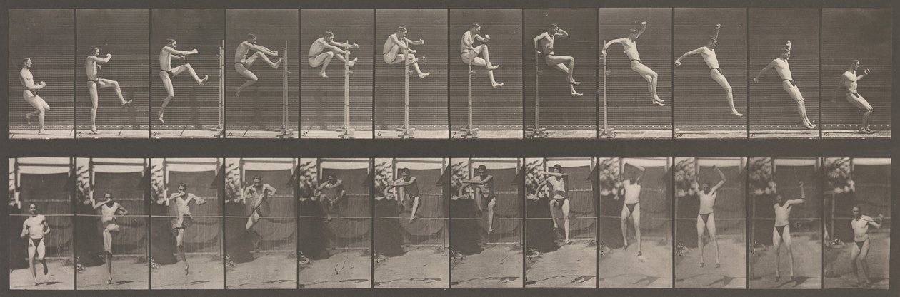 Djurrörelse. En elektrofotografisk undersökning av på varandra följande faser av djur ..., 1880-talet. av Eadweard Muybridge