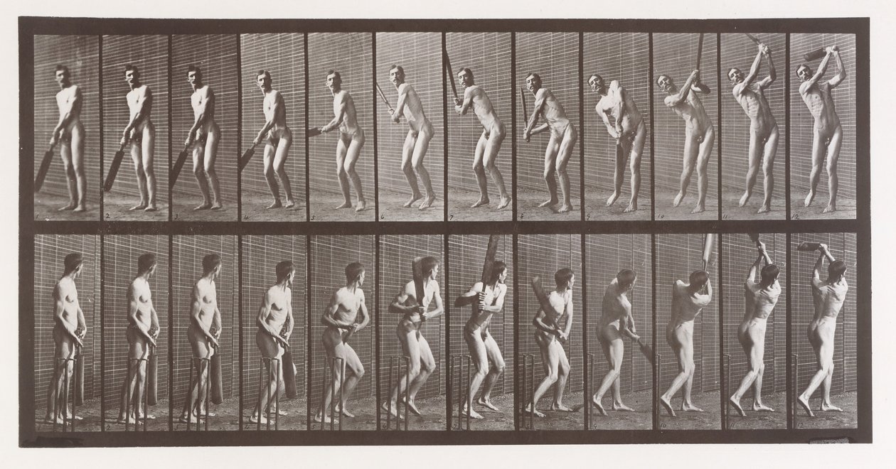 Djurrörelse. En elektrofotografisk undersökning av på varandra följande faser av djur ..., 1880-talet. av Eadweard Muybridge