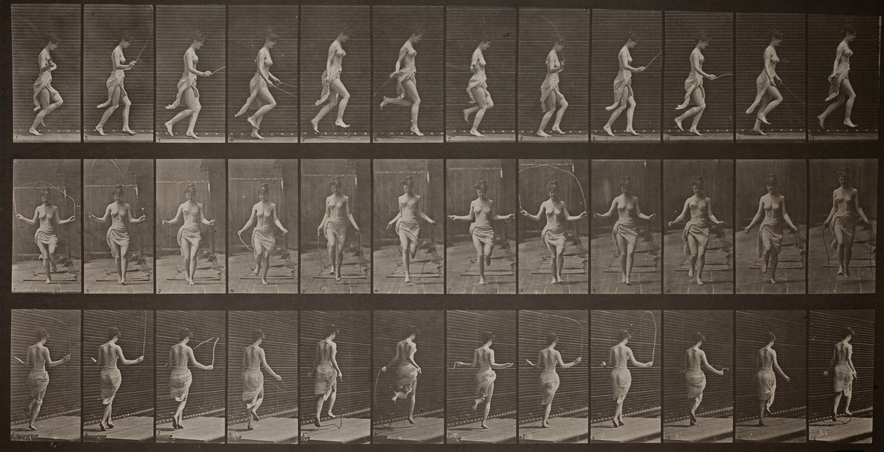 Djurens rörelse, tavla 174, 1887. av Eadweard Muybridge