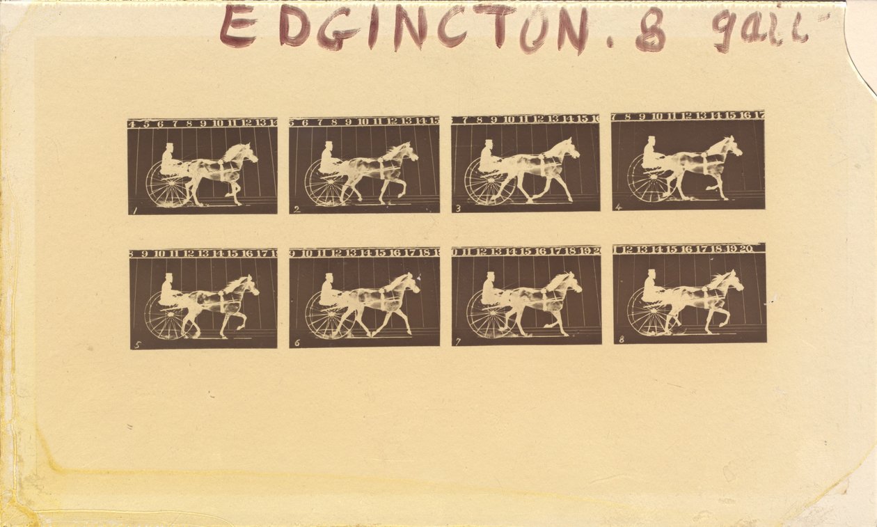Internegativ för hästar. Trav. Abe Edgington. nr 28, 1878. av Eadweard Muybridge