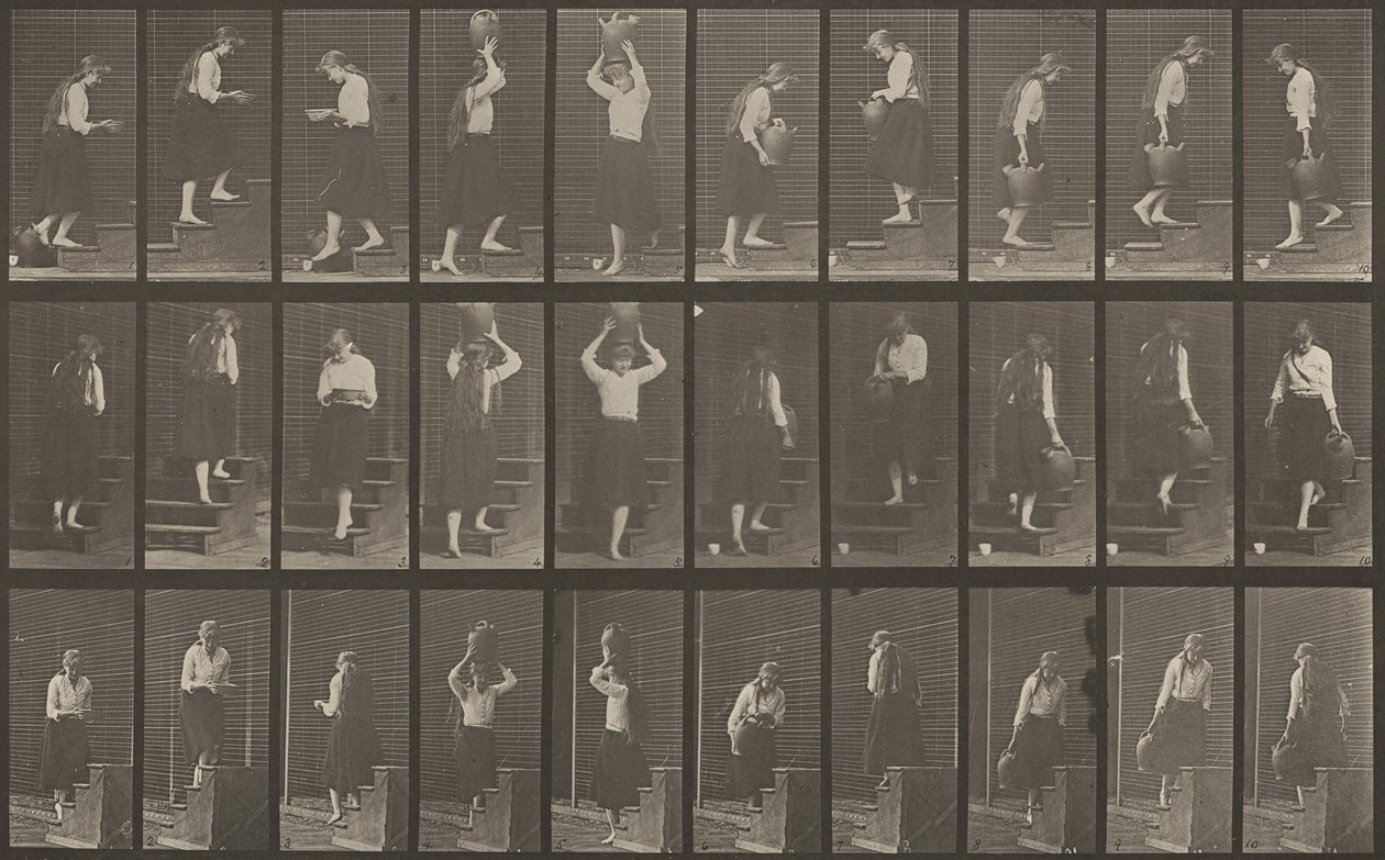 Plåt nummer 504. Upp- och nedåtgående trappor, 1887. av Eadweard Muybridge