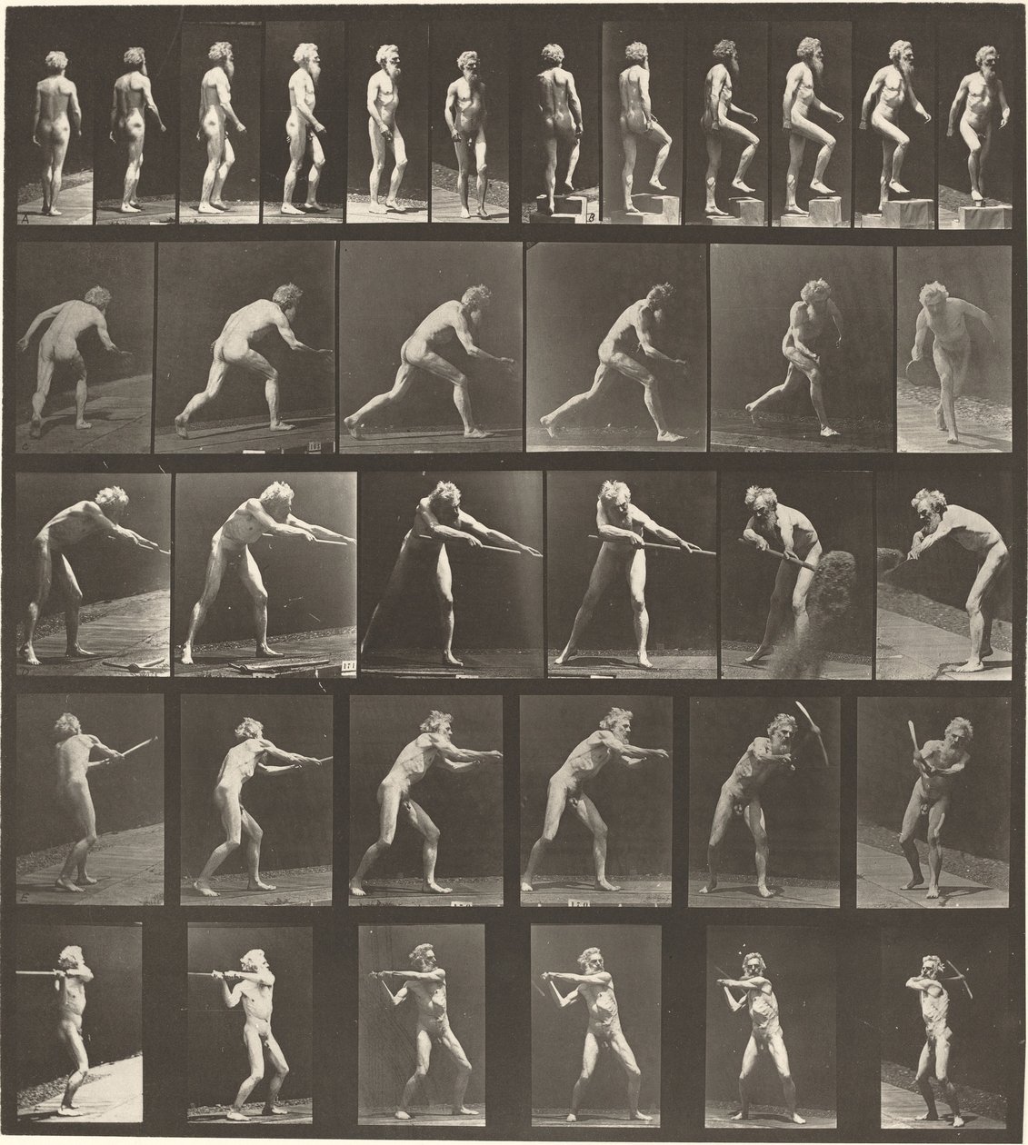 Skylt nummer 521. A: Gående. B: Stigande steg. C. Kastskiva. D: Med spade..., 1887. av Eadweard Muybridge