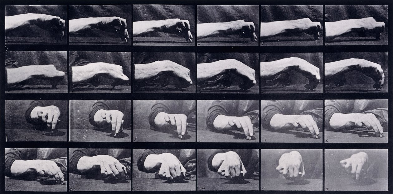 A Motion Study of a Hand, c.1872-1885 av Eadweard Muybridge