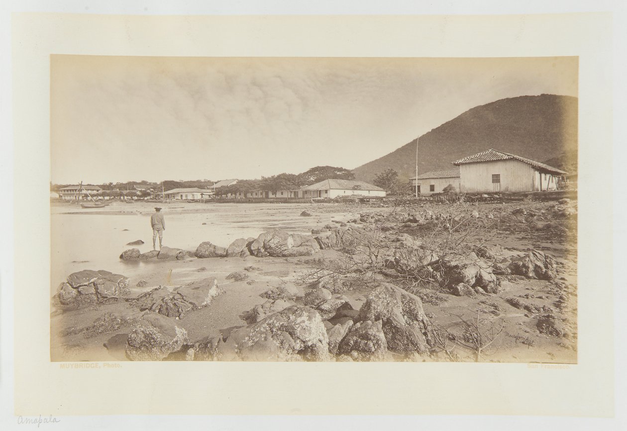 Amapala, Honduras av Eadweard Muybridge