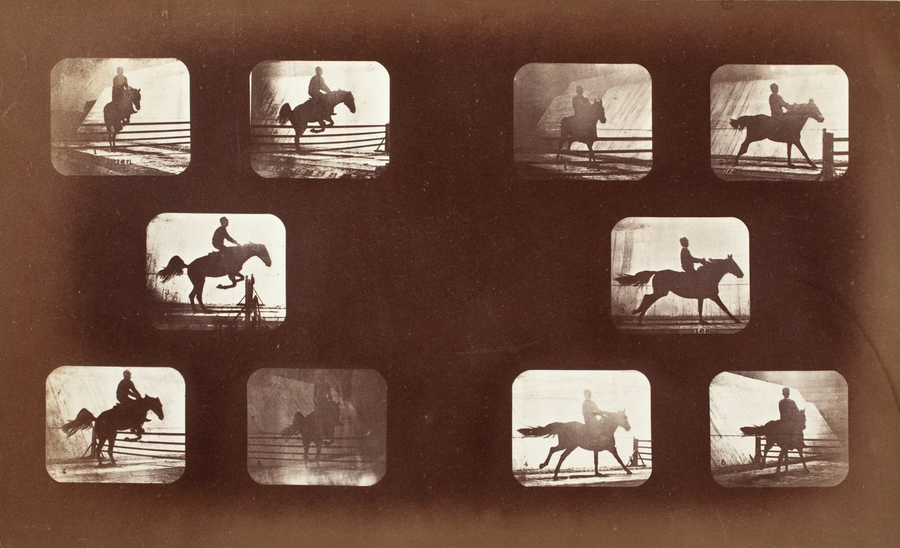 Djurens rörelser (man till häst över hinder) av Eadweard Muybridge
