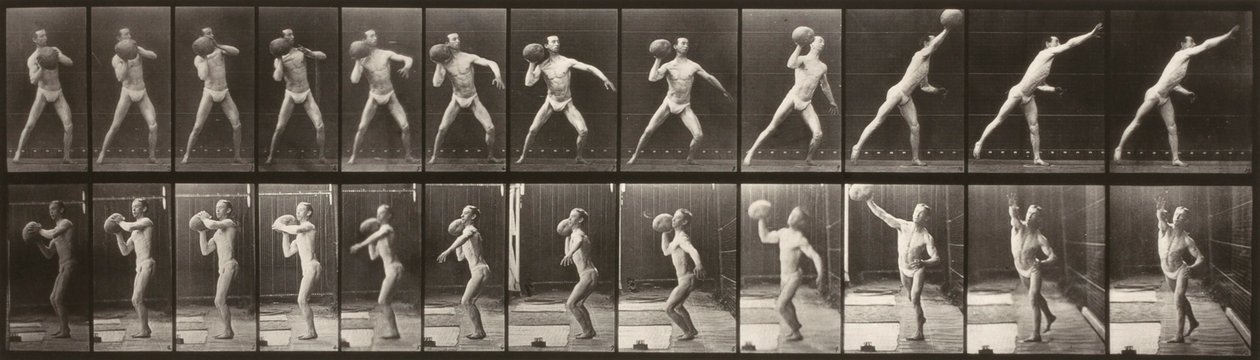 Djurens rörelse (plansch 319) (Man som kastar en boll) av Eadweard Muybridge