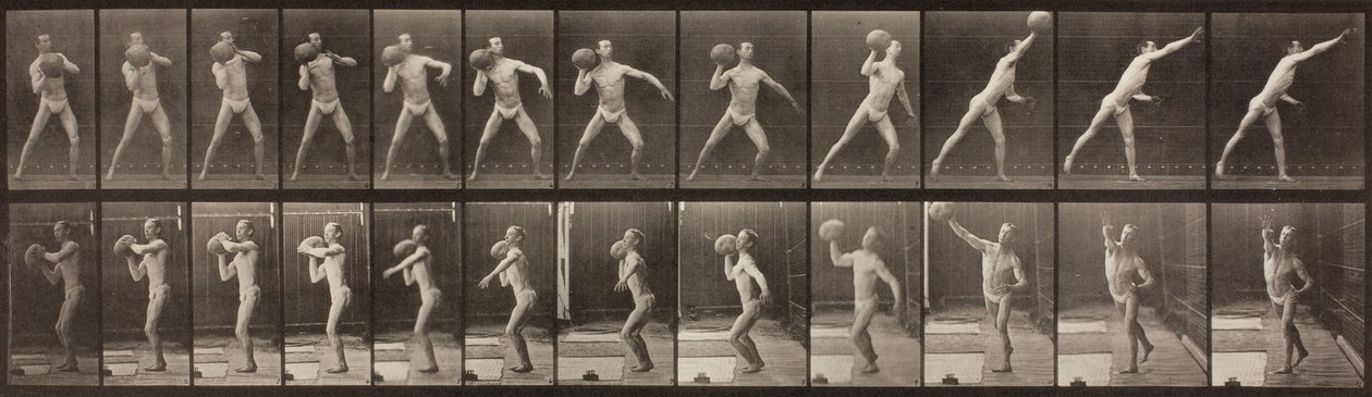 Djurrörelse, skylt 319, 1887 av Eadweard Muybridge