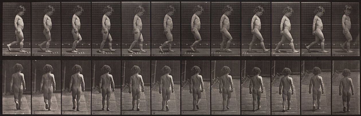 Animal Locomotion, tallrik 467 av Eadweard Muybridge