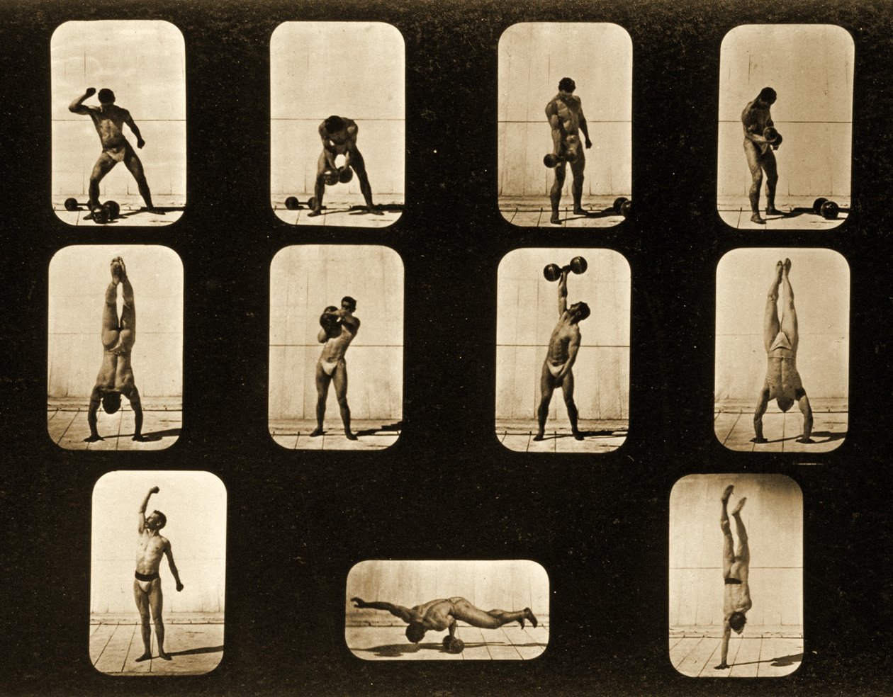 Idrottare. Ställning från "Animal Locomotion"-serien, c.1881 av Eadweard Muybridge
