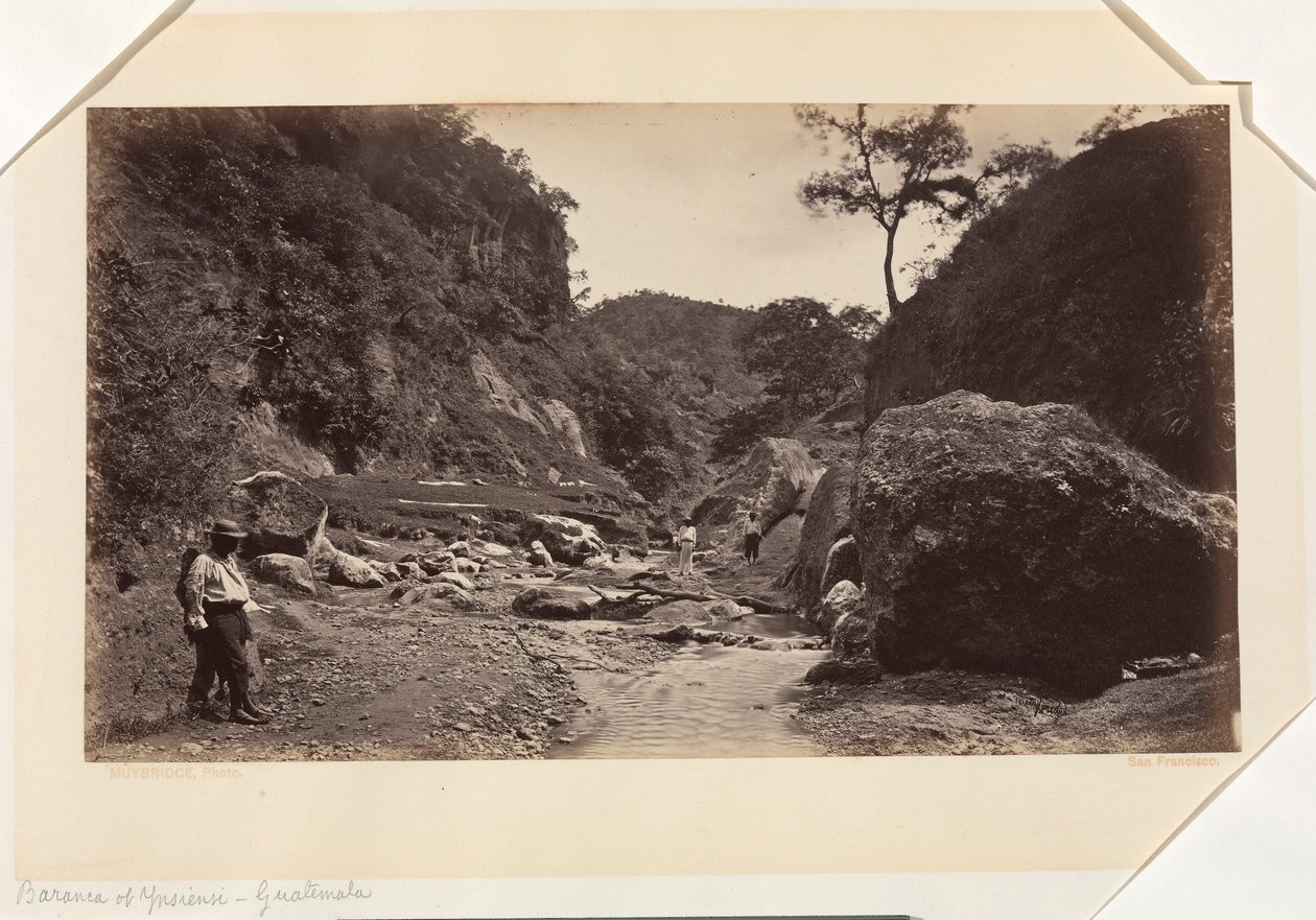 Barranca of Ynsiensi, Guatemala av Eadweard Muybridge